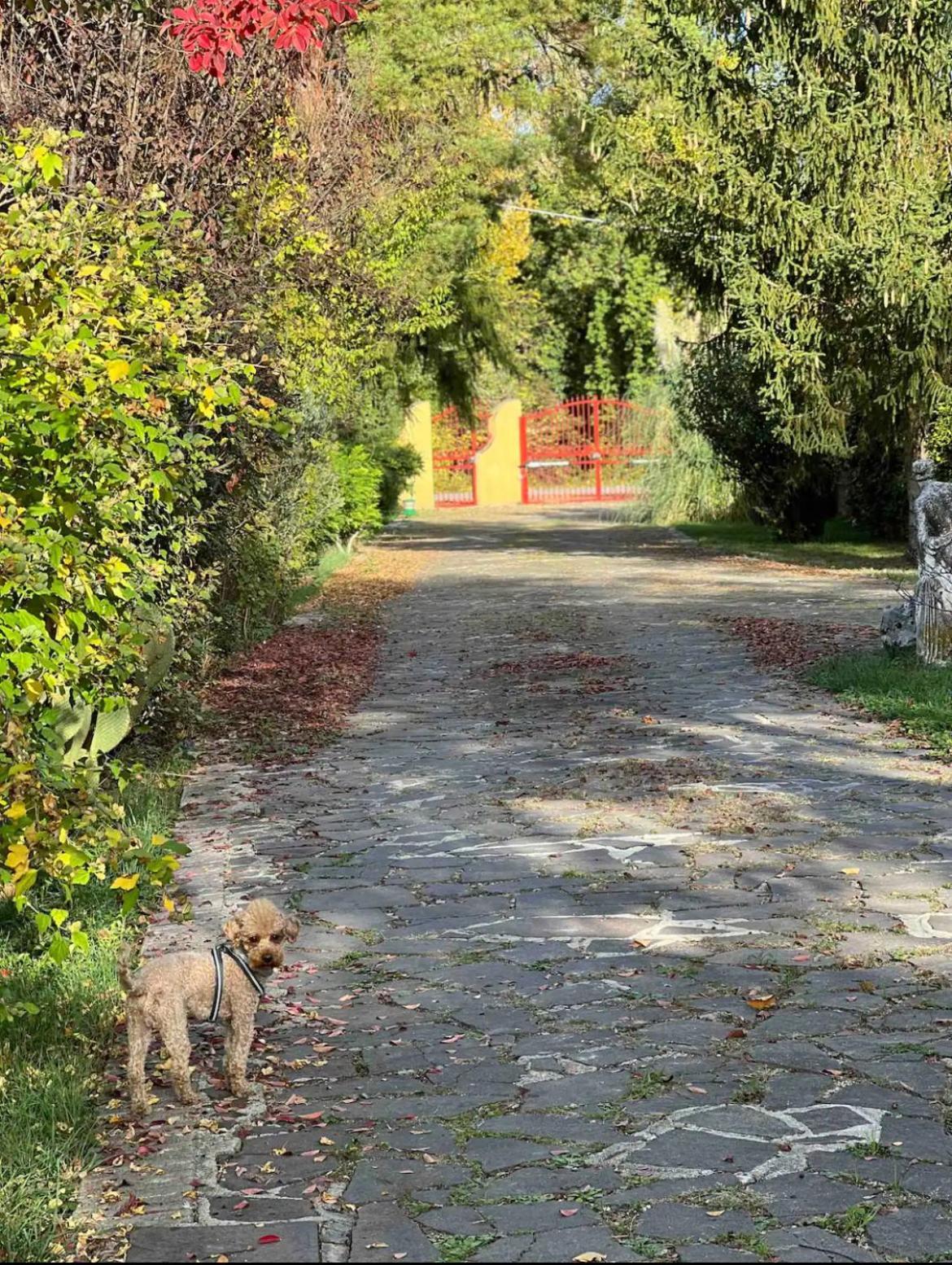 Villa Alberto Sulmona Dış mekan fotoğraf